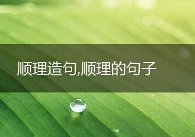顺理造句,顺理的句子