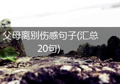父母离别伤感句子(汇总20句)