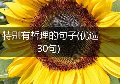 特别有哲理的句子(优选30句)