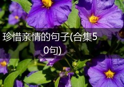 珍惜亲情的句子(合集50句)