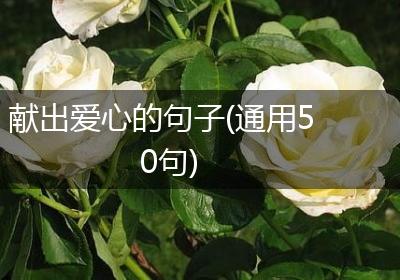 献出爱心的句子(通用50句)