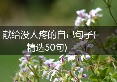 献给没人疼的自己句子(精选50句)