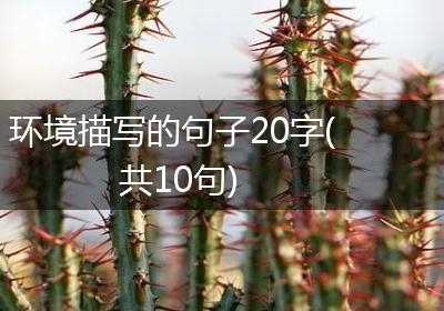 环境描写的句子20字(共10句)
