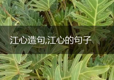 江心造句,江心的句子