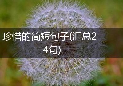 珍惜的简短句子(汇总24句)