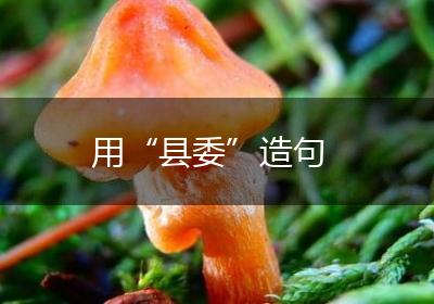 用“县委”造句