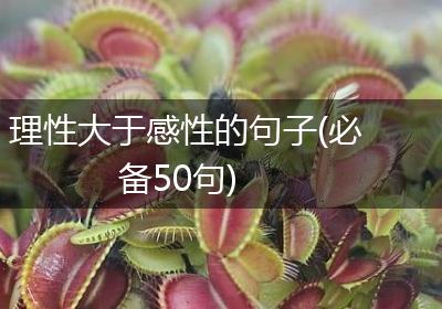 理性大于感性的句子(必备50句)