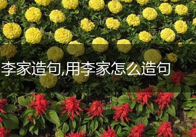 李家造句,用李家怎么造句