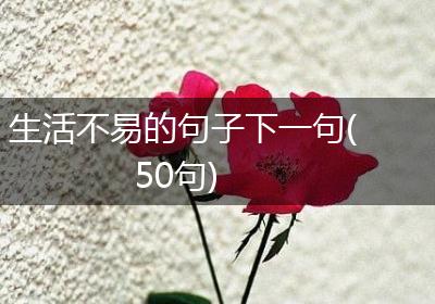 生活不易的句子下一句(50句)