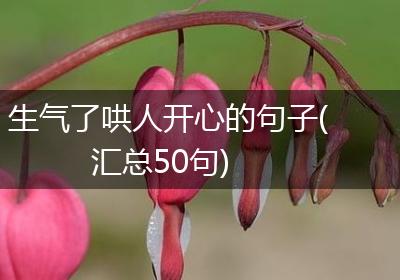 生气了哄人开心的句子(汇总50句)