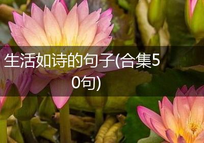 生活如诗的句子(合集50句)