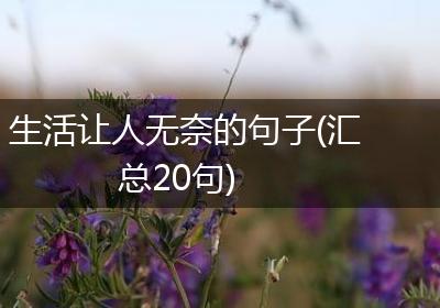 生活让人无奈的句子(汇总20句)