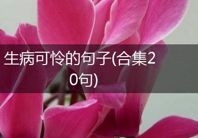 生病可怜的句子(合集20句)