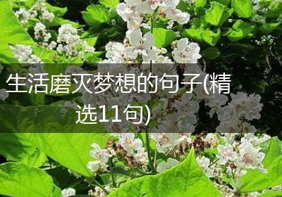 生活磨灭梦想的句子(精选11句)