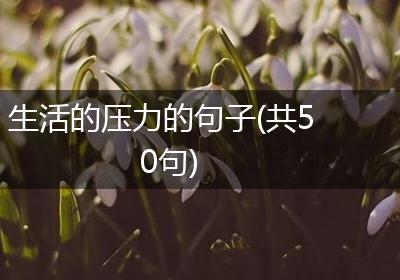 生活的压力的句子(共50句)