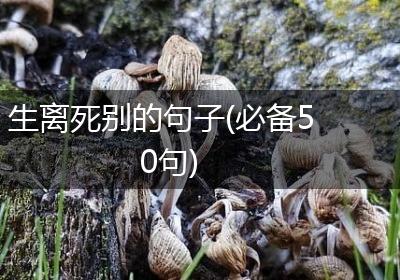 生离死别的句子(必备50句)