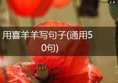 用喜羊羊写句子(通用50句)