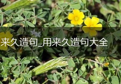 来久造句_用来久造句大全