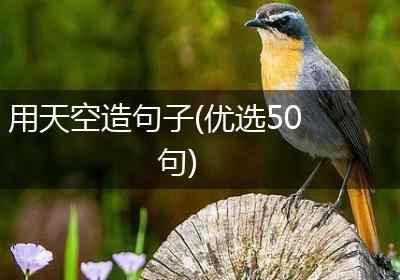 用天空造句子(优选50句)