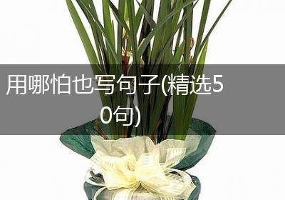 用哪怕也写句子(精选50句)