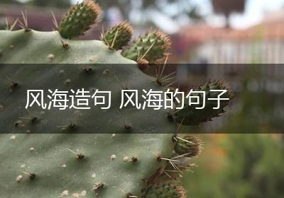 风海造句 风海的句子