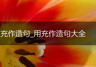 充作造句_用充作造句大全