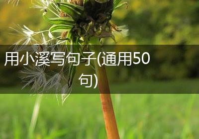 用小溪写句子(通用50句)