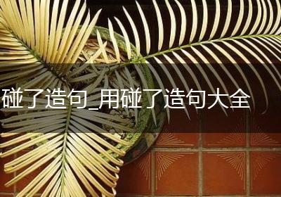碰了造句_用碰了造句大全