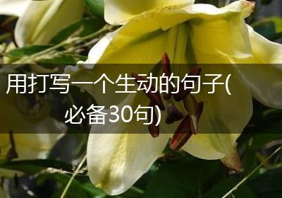 用打写一个生动的句子(必备30句)