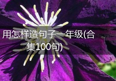 用怎样造句子一年级(合集100句)