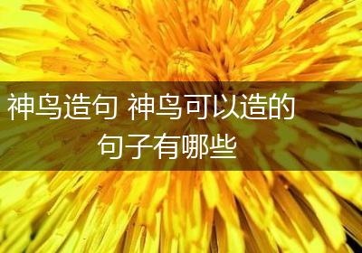 神鸟造句 神鸟可以造的句子有哪些