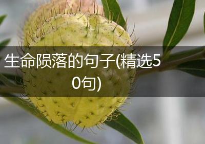 生命陨落的句子(精选50句)