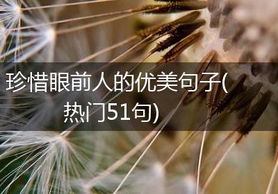 珍惜眼前人的优美句子(热门51句)