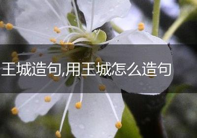 王城造句,用王城怎么造句