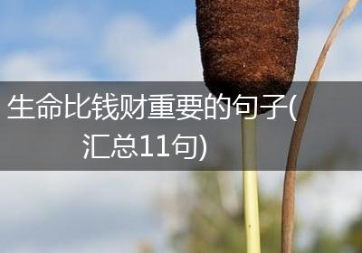 生命比钱财重要的句子(汇总11句)