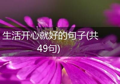生活开心就好的句子(共49句)