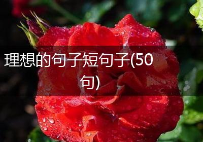 理想的句子短句子(50句)