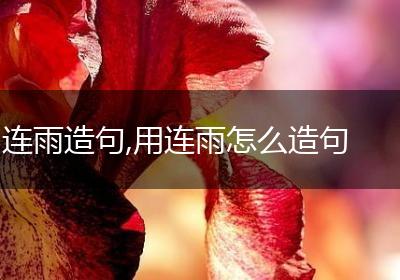 连雨造句,用连雨怎么造句
