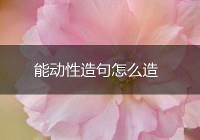 能动性造句怎么造