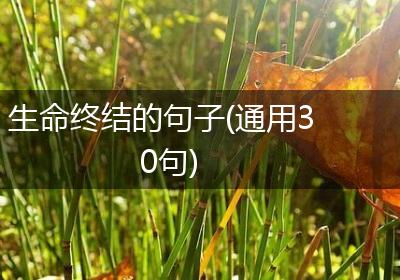 生命终结的句子(通用30句)