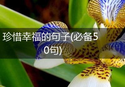 珍惜幸福的句子(必备50句)