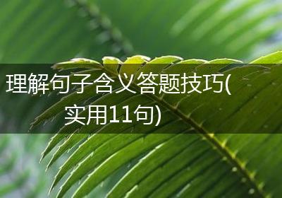 理解句子含义答题技巧(实用11句)