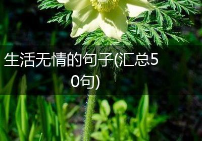 生活无情的句子(汇总50句)