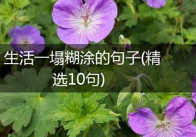 生活一塌糊涂的句子(精选10句)