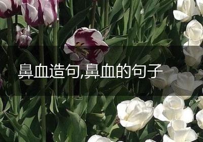 鼻血造句,鼻血的句子