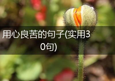 用心良苦的句子(实用30句)