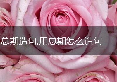 总期造句,用总期怎么造句