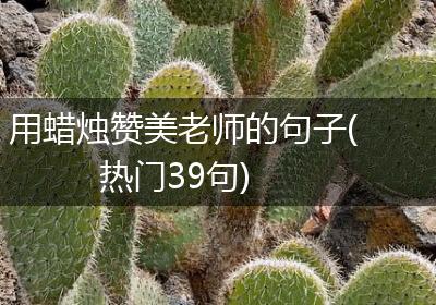 用蜡烛赞美老师的句子(热门39句)