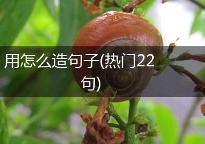 用怎么造句子(热门22句)