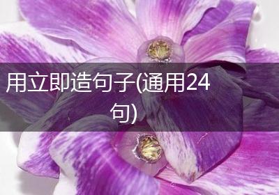 用立即造句子(通用24句)
